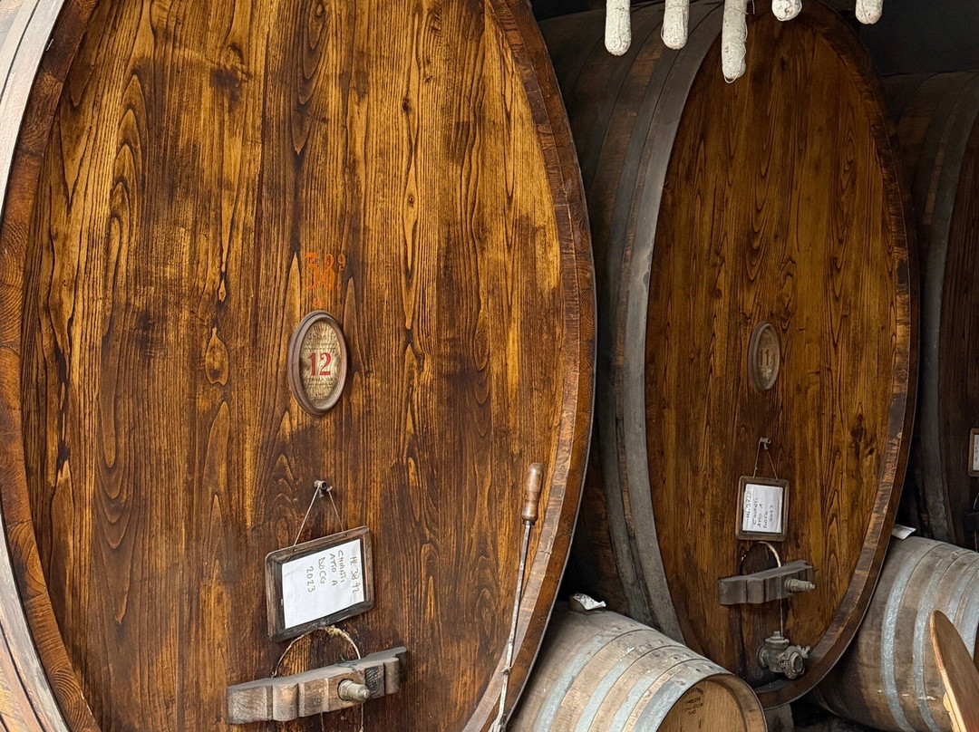Fattoria La Tancia - LA TANCIA WINERY-佩萨河谷塔瓦内莱必去景点