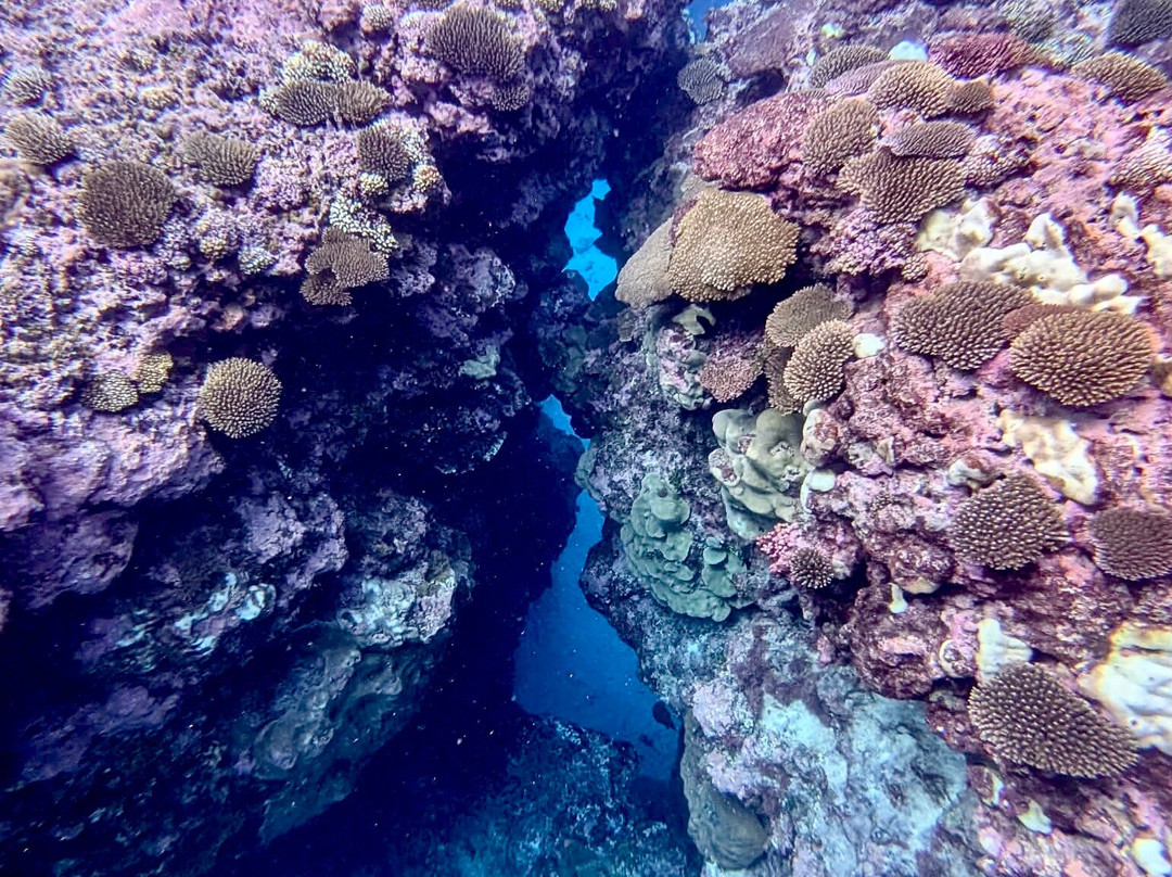 Niue Blue Island Experiences-阿洛菲必去景点