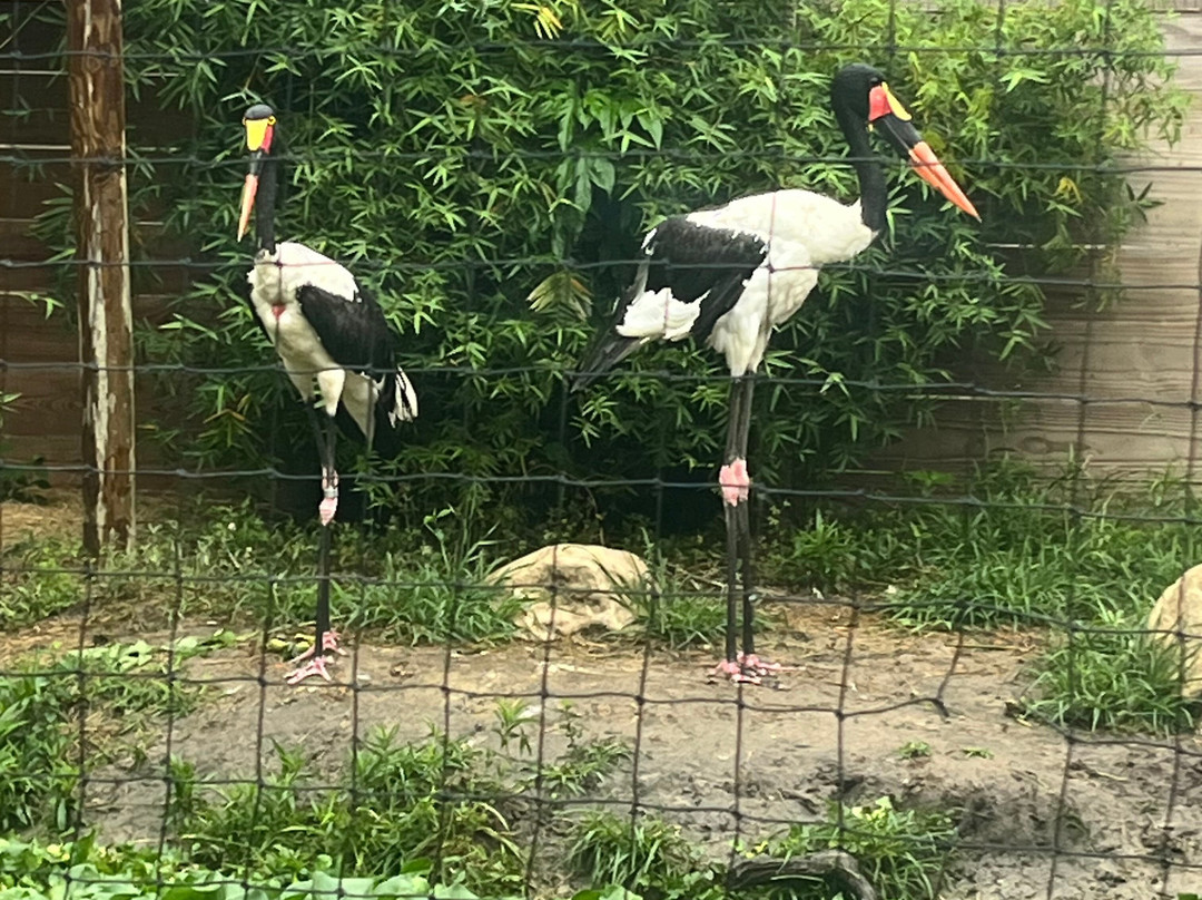 North Florida Wildlife Center-Lamont必去景点