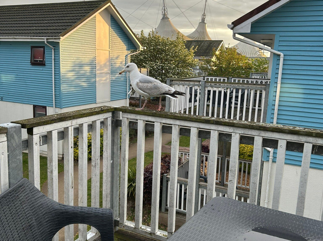 Butlin's Skegness Resort主图