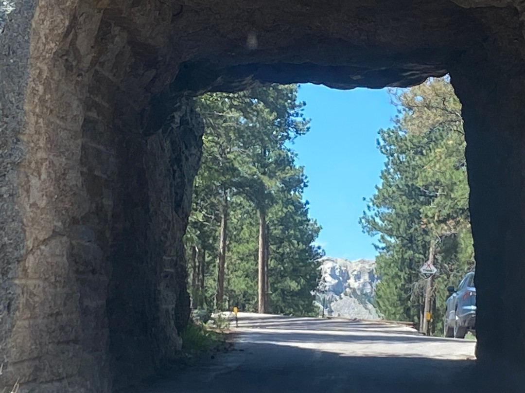 Black Hills National Forest-卡斯特必去景点