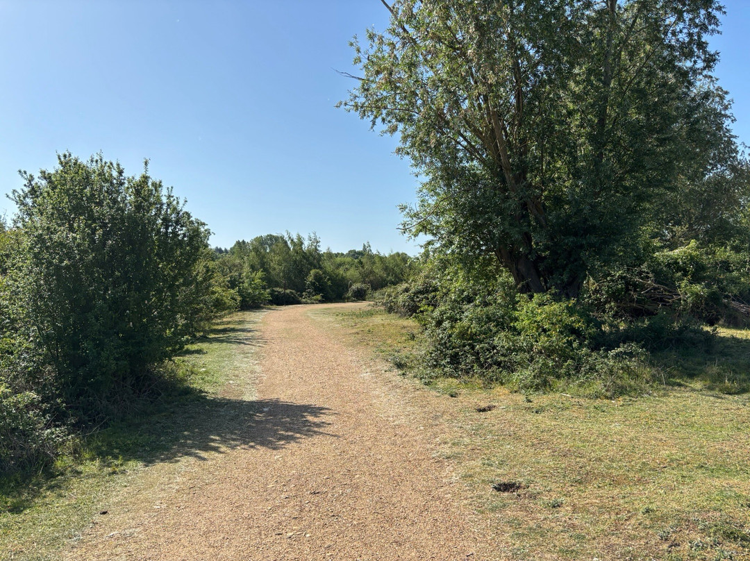 Paxton Pits Nature Reserve-Little Paxton必去景点