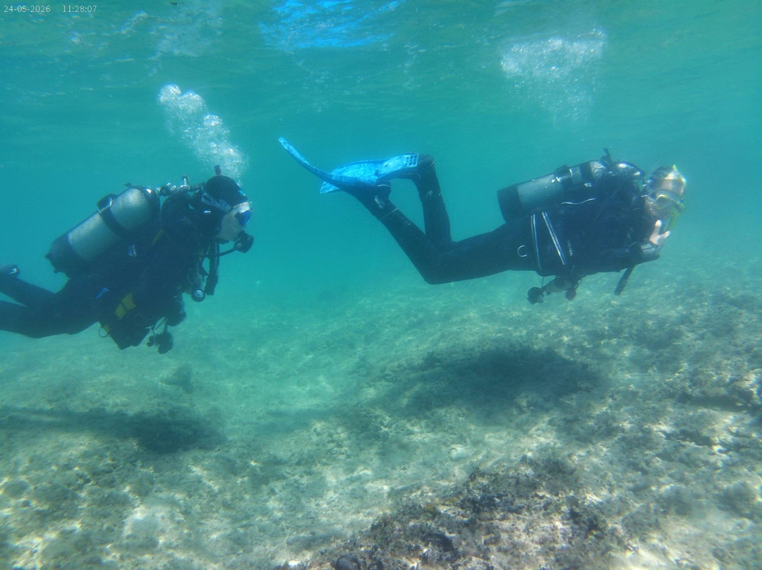 Starfish Diving Center-弗萨必去景点