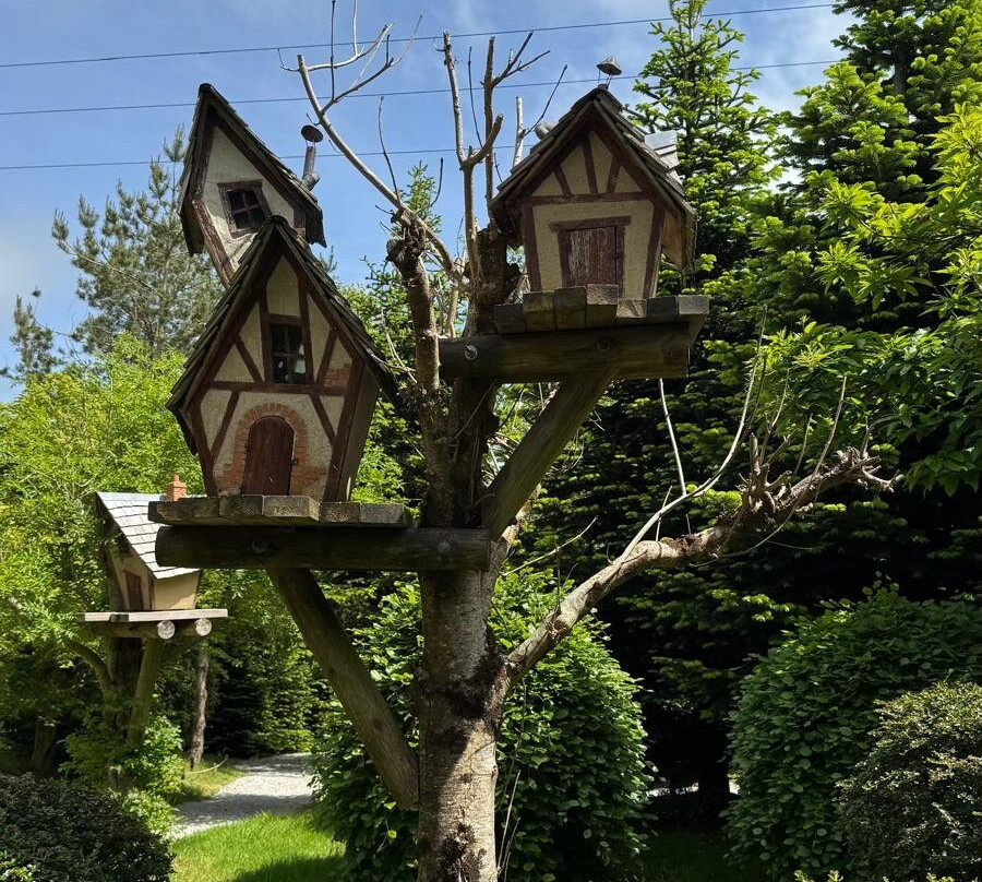 Hidden Valley The Puzzle Park-Egloskerry必去景点