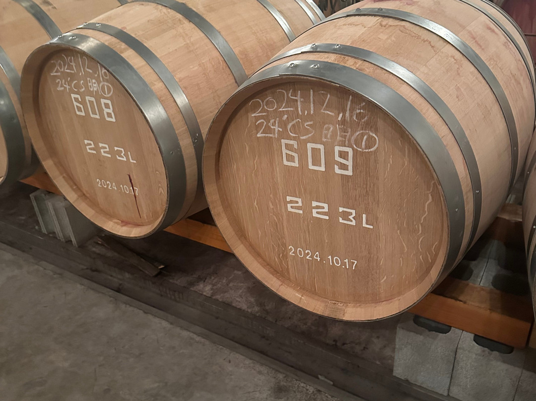 Sadoya Winery-甲府市必去景点