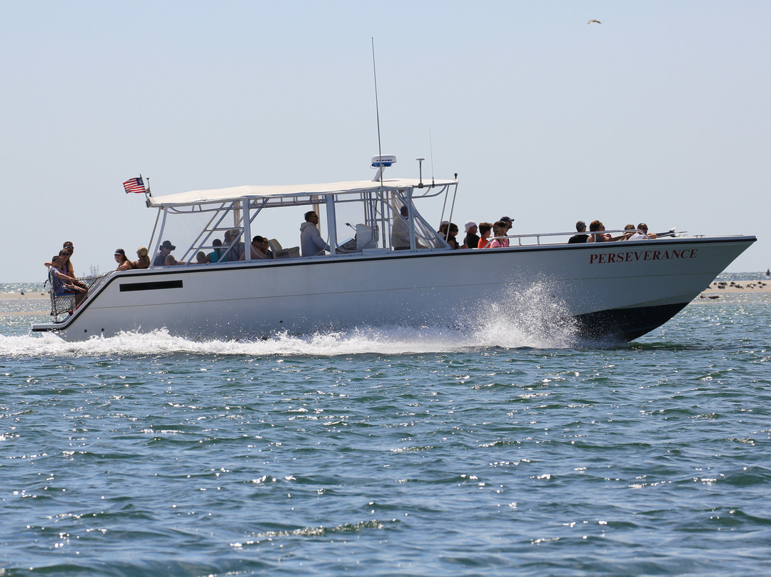 Monomoy Island Excursions-Harwich Port必去景点