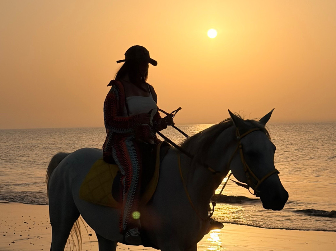 Horse Riding Oman-Barka必去景点