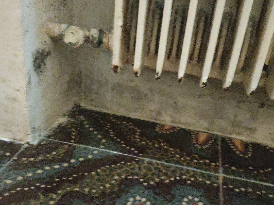 唐卡洛住宿加早餐旅馆主图