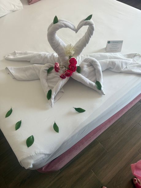 Can Garden Resort Hotel-旅行者