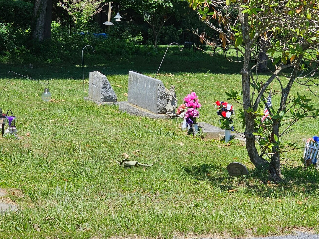 Trinity AME Zion Church and Cemetery-Delta必去景点
