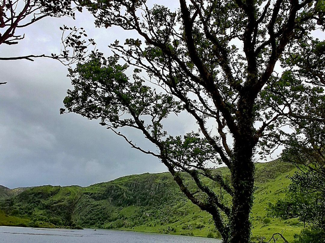 Gougane Barra Church-Gougane Barra必去景点