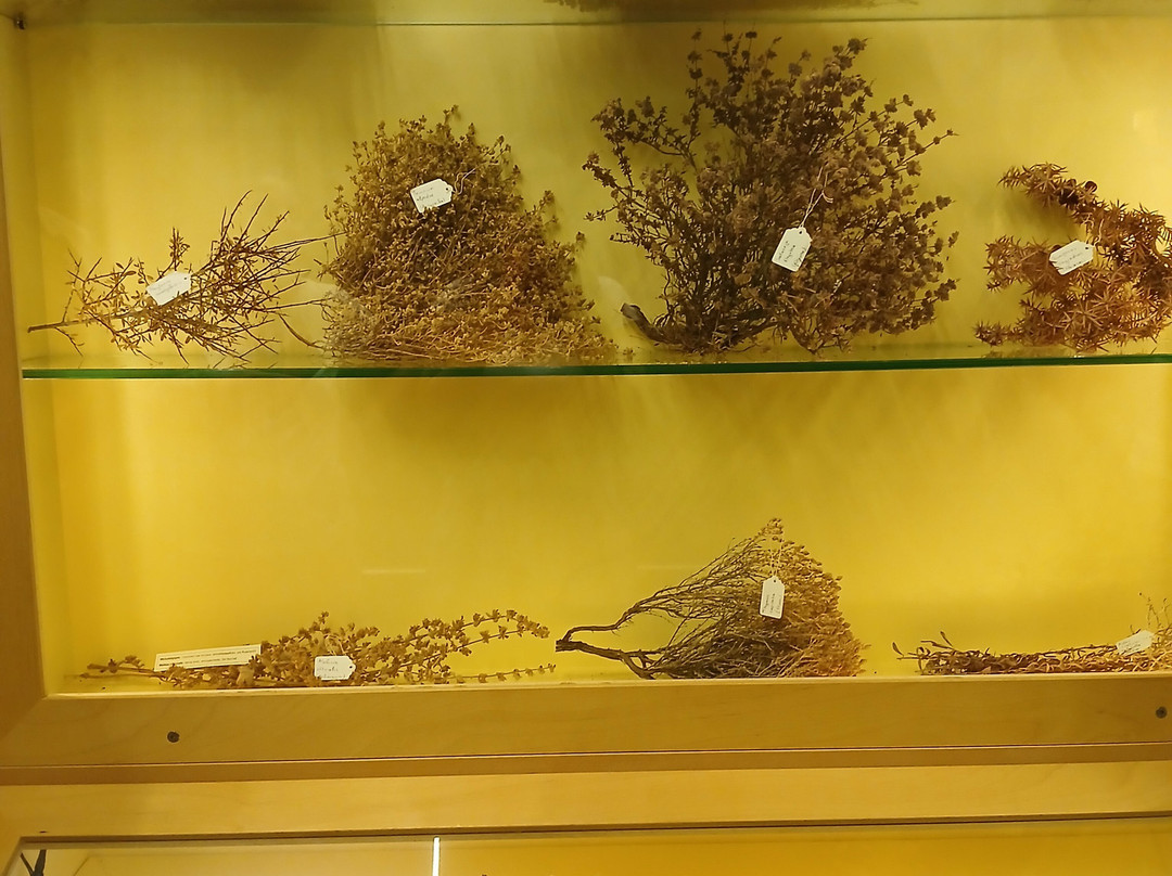 Rodanthi Museum-Kritsa必去景点