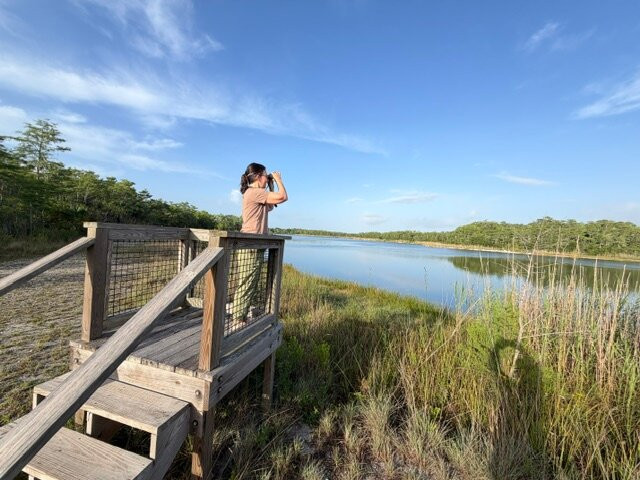 Tour The Glades - Private Wildlife Tours-大沼泽地必去景点
