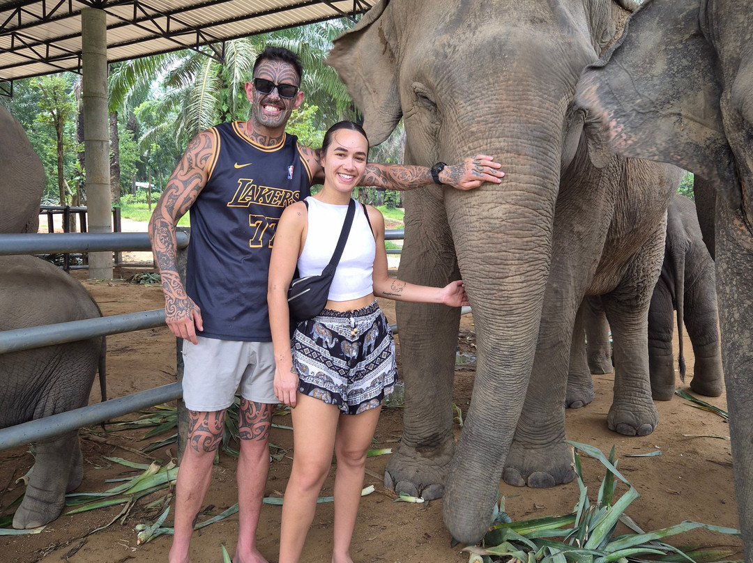 Krabi Elephant House Sanctuary-Sai Thai必去景点