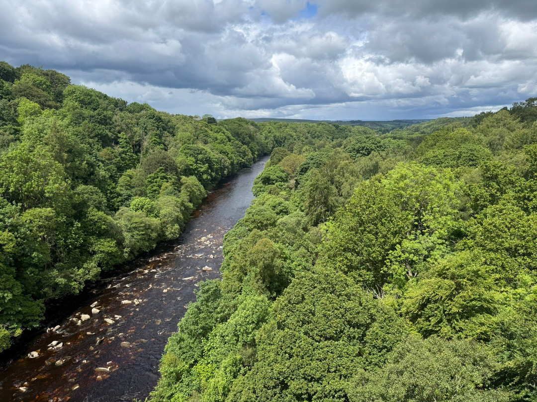 Lambley Viaduct-Lambley必去景点