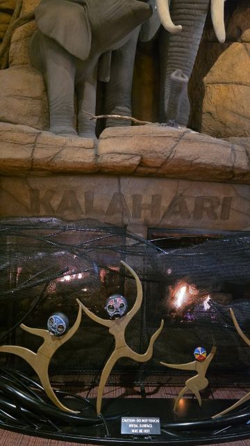 Kalahari Resorts and Conventions-旅行者