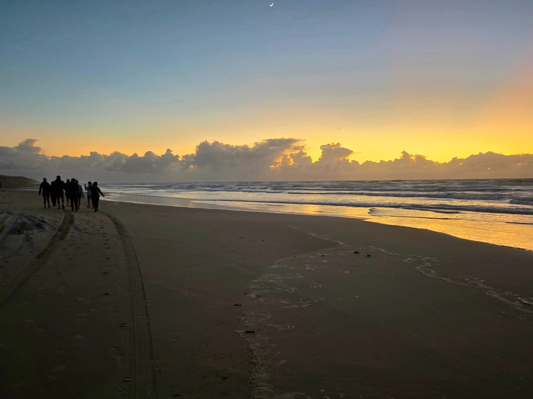 Drop Bear K'gari Fraser Island Adventures-弗雷泽岛必去景点