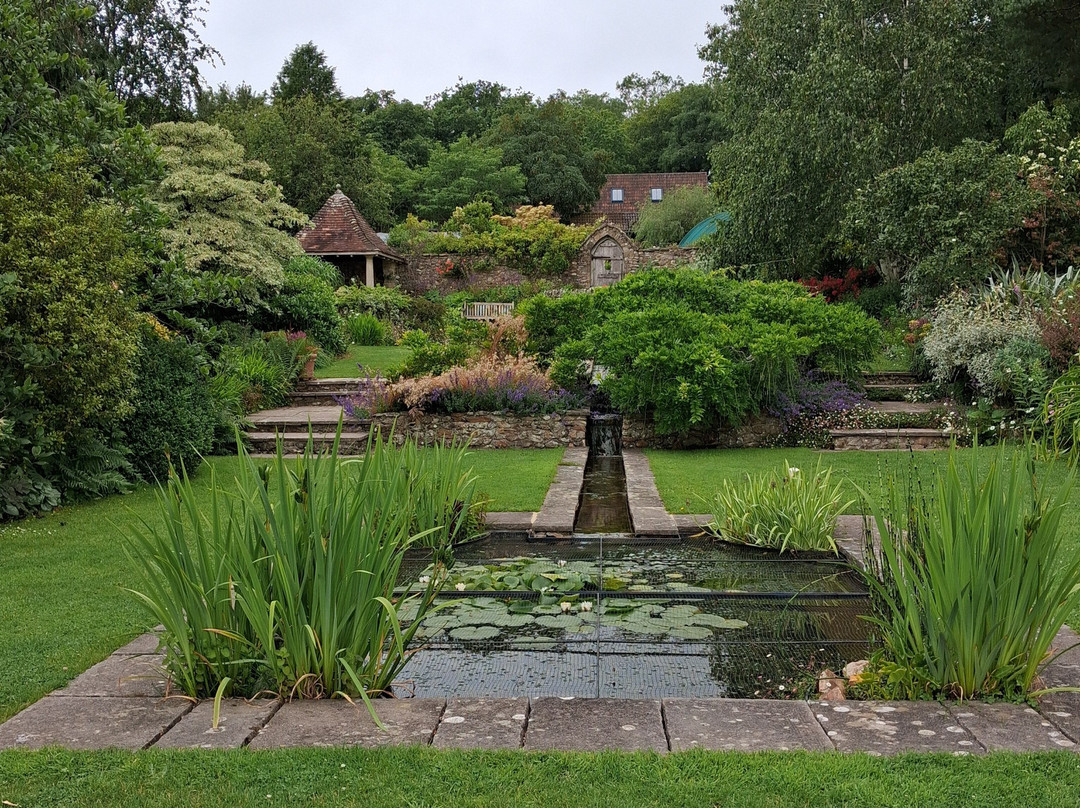 Burrow Farm Gardens-Dalwood必去景点
