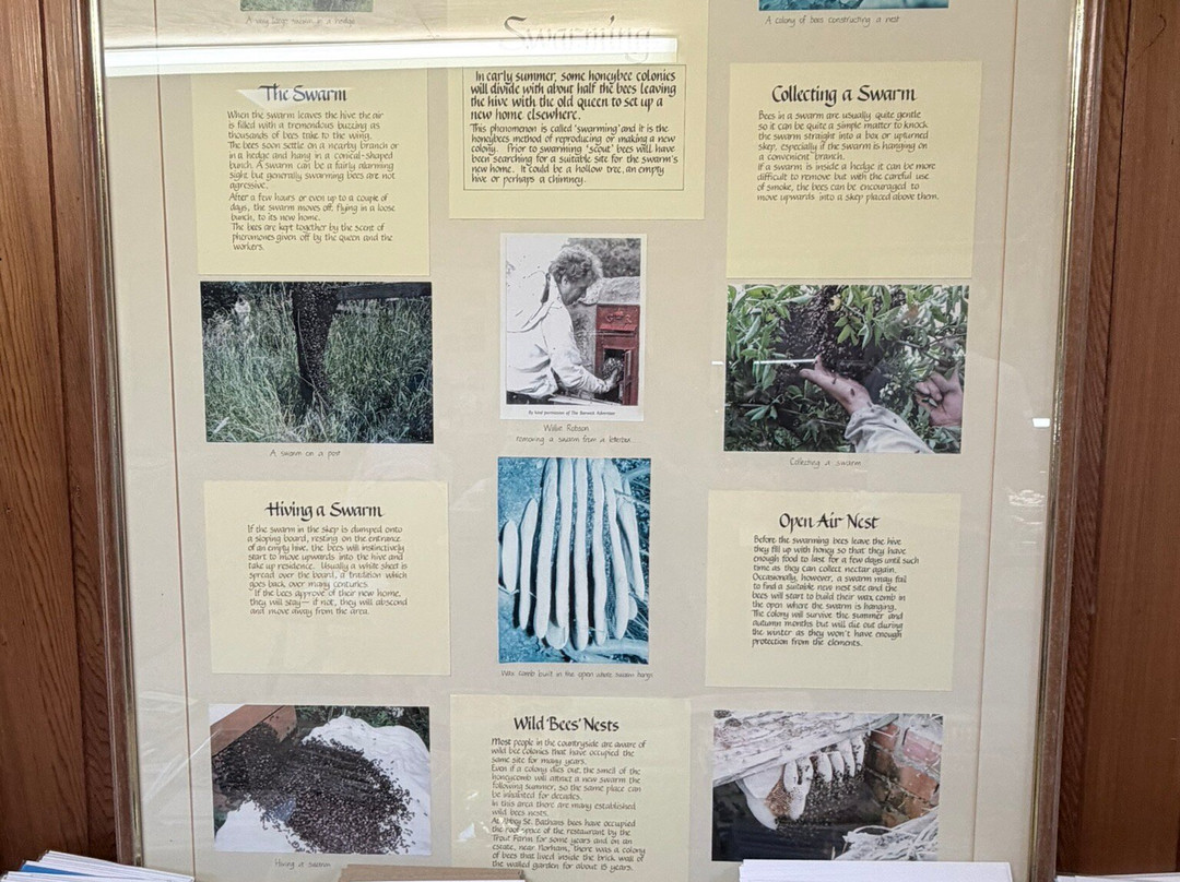 Chain Bridge Honey Farm-特威德河畔贝里克必去景点