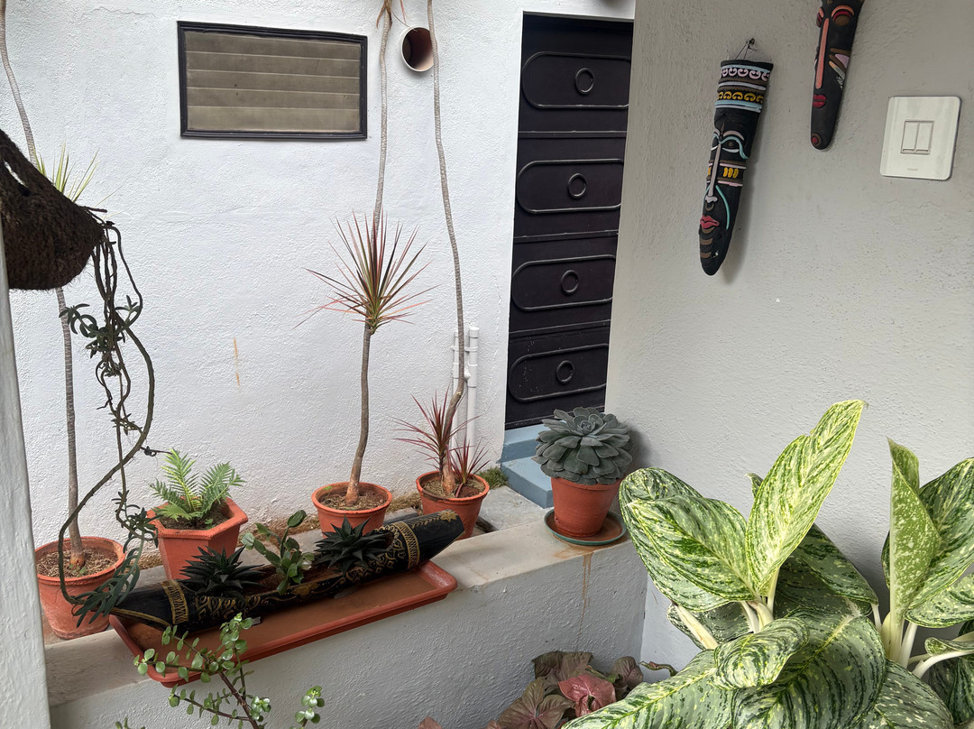 Halli Hithalu Homestay主图