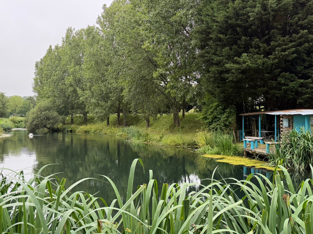 Nutbourne Vineyards-Nutbourne必去景点