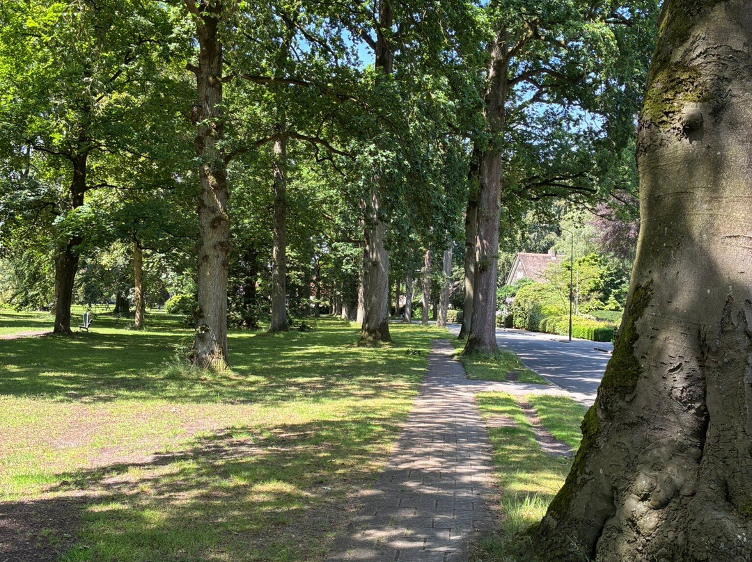 Prinsenpark-阿珀尔多伦必去景点