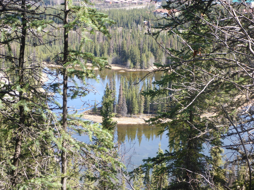 Denali National Park-阿拉斯加必去景点