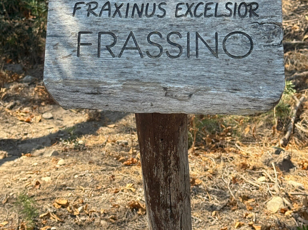 Riserva Naturale del Fiume Irminio-Marina di Ragusa必去景点