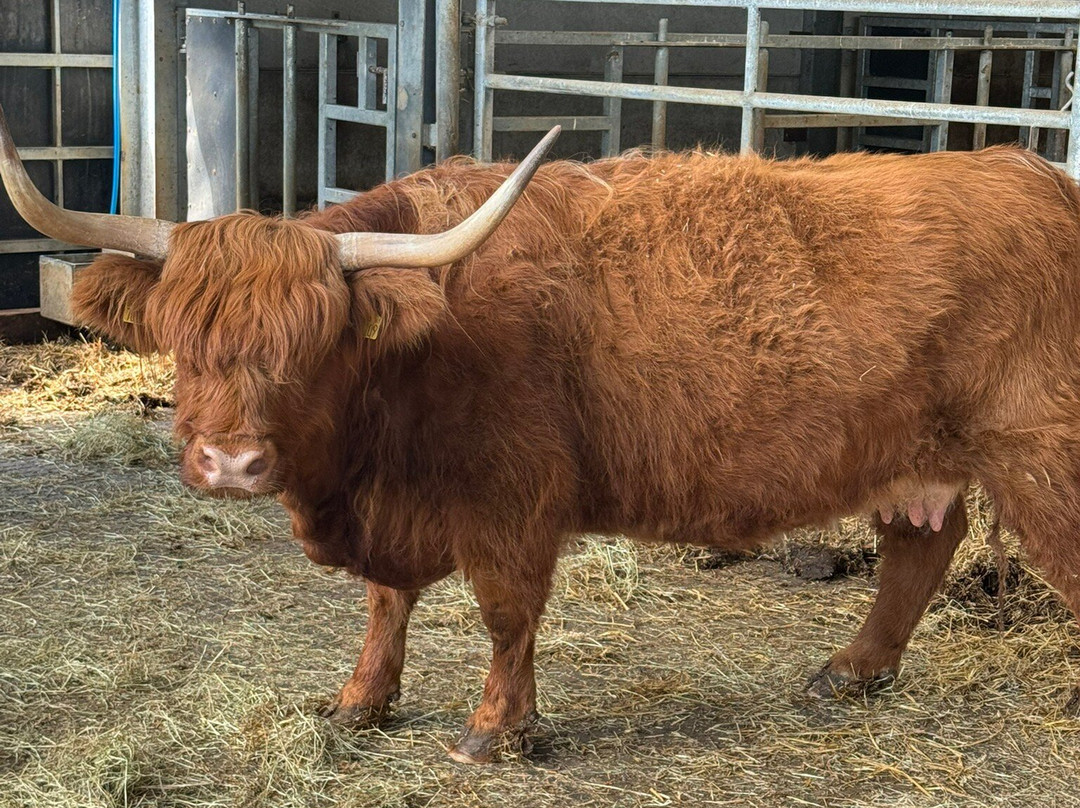 Cannon Hall Farm-Cawthorne必去景点