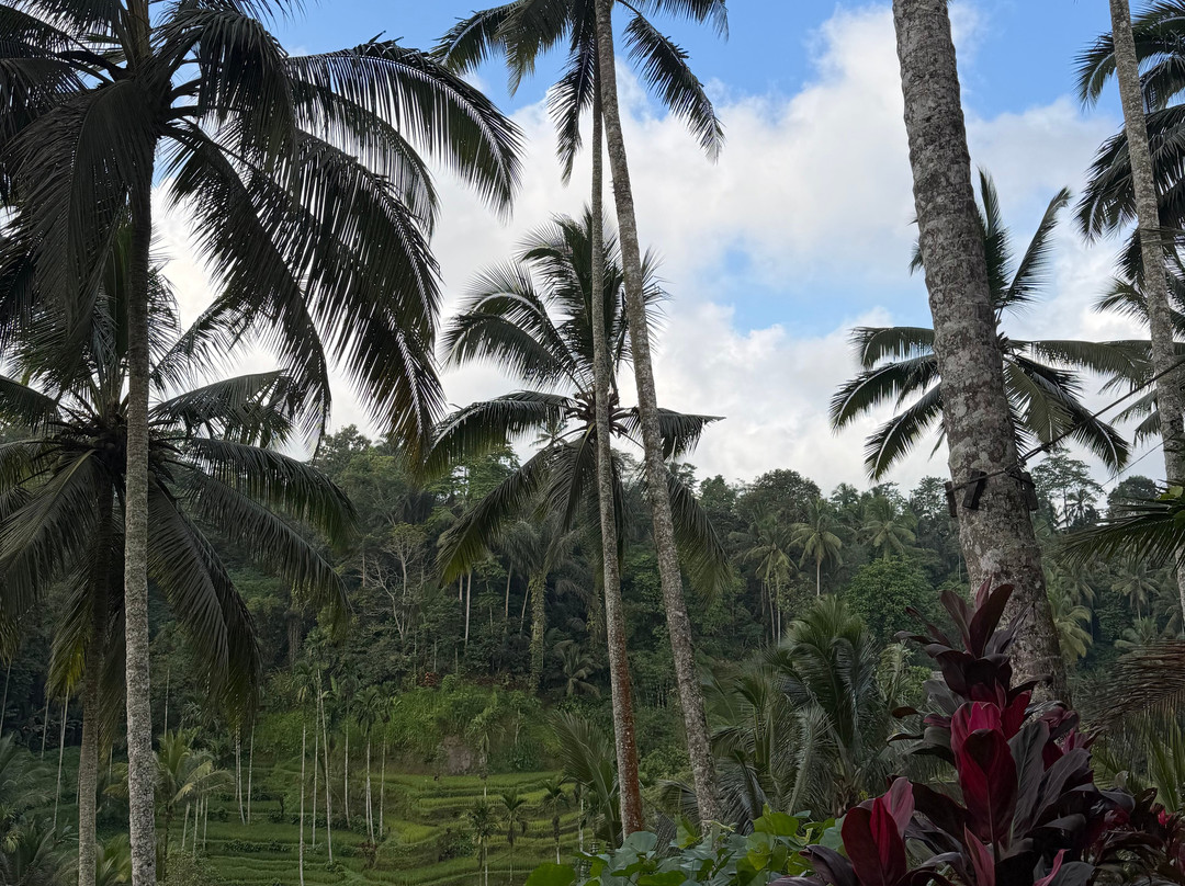 Bali Viaje-Batubulan必去景点