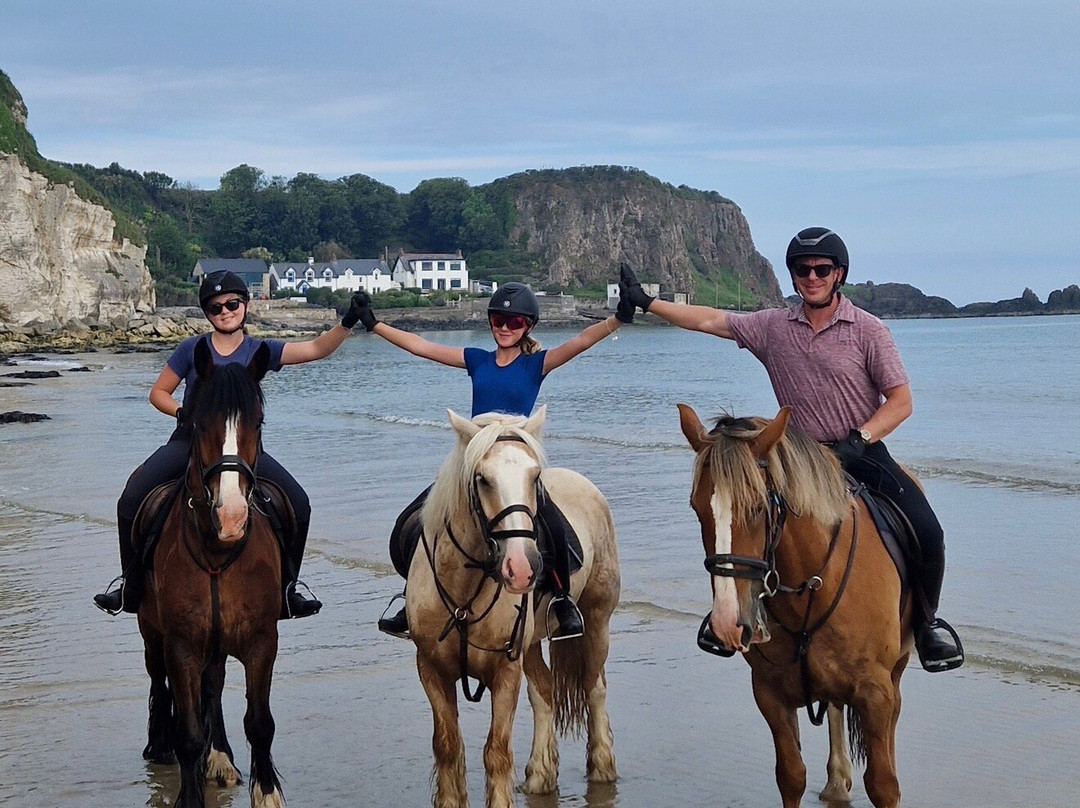 Bespoke Equestrian Ireland-都柏林必去景点
