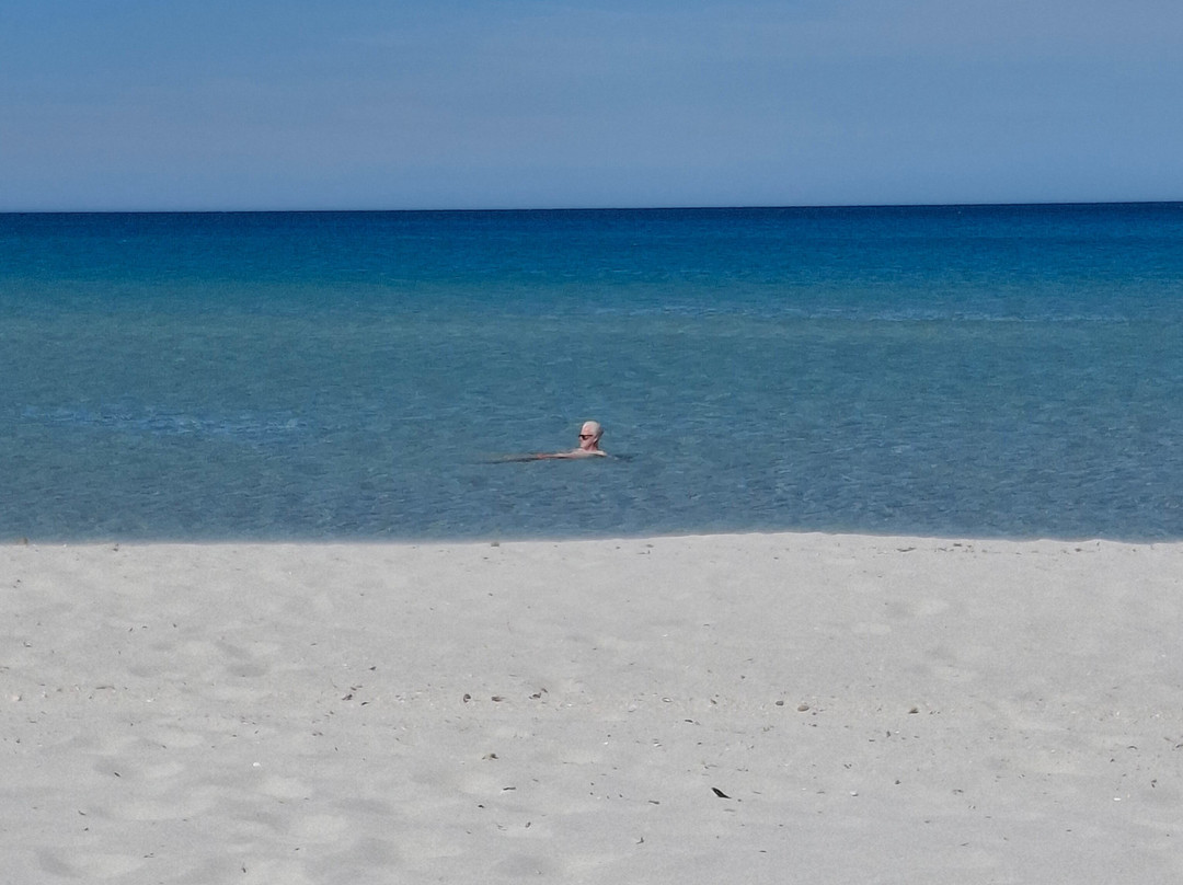 Spiaggia La Cinta-San Teodoro必去景点