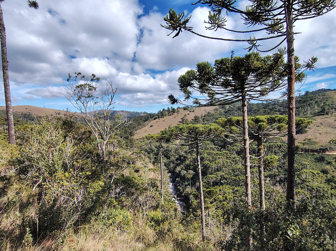 Parque Estadual Campos do Jordao-坎普斯－杜若尔当必去景点