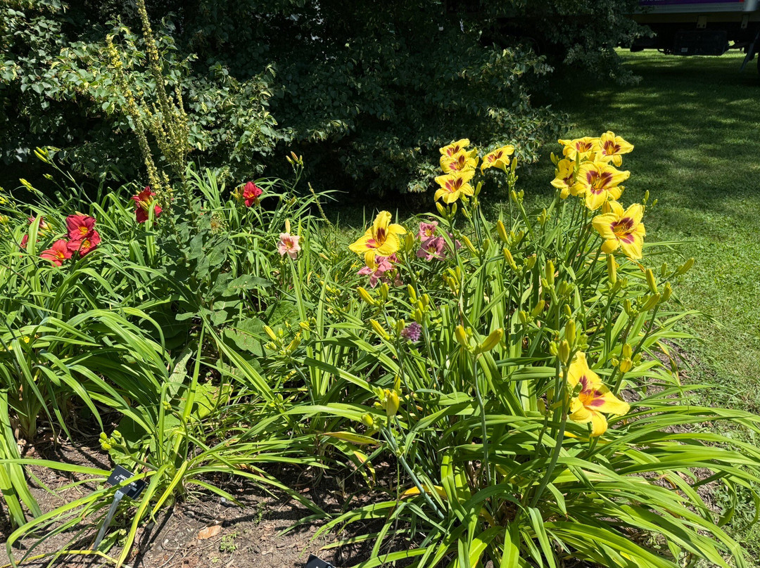 Berkshire Botanical Garden-Stockbridge必去景点