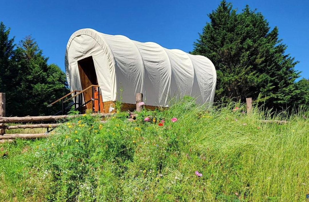 Covered Wagons Hill Camp - WAGON 2