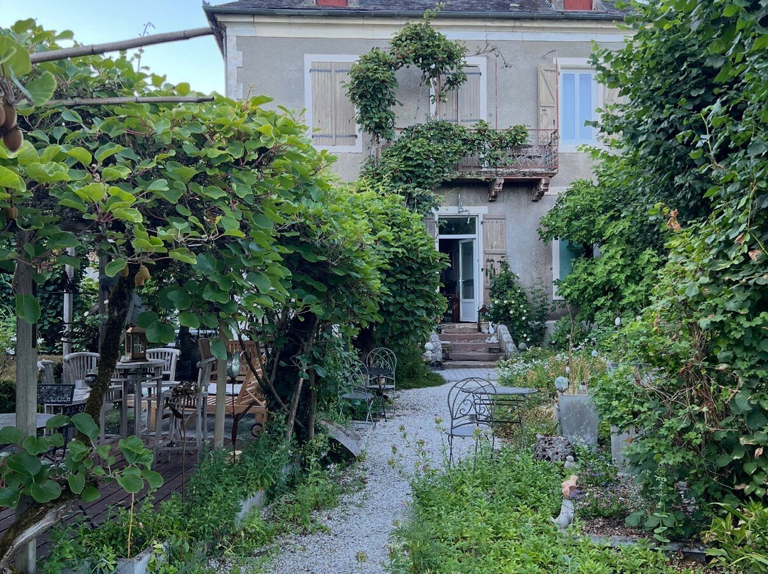 La Maison Ô Kiwis主图
