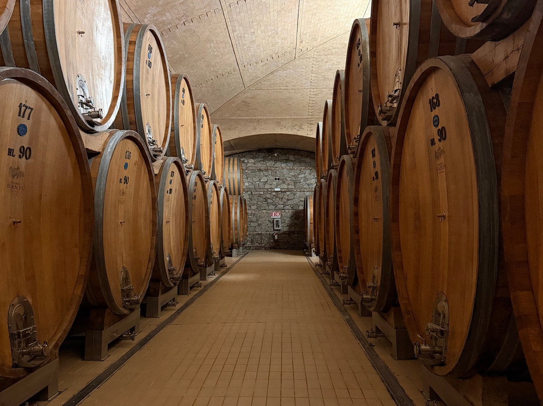 Castello Banfi - L' Enoteca-蒙塔尔奇诺必去景点