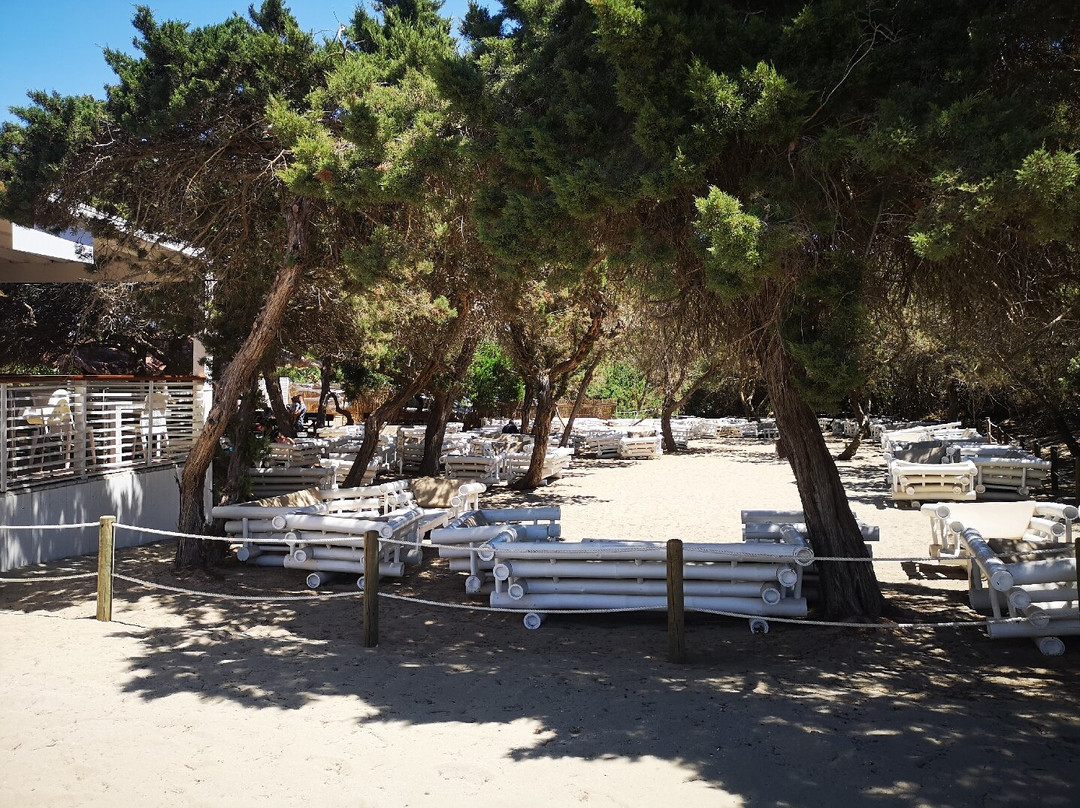 Samanà Beach-Punta Prosciutto必去景点