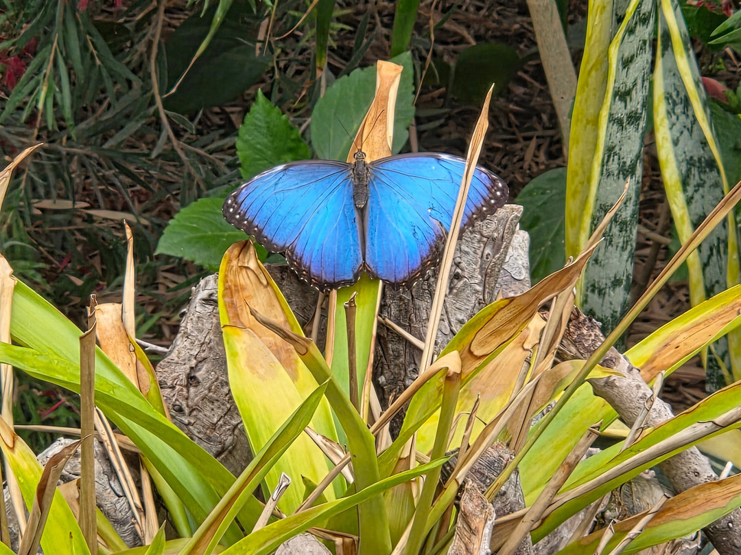 Twycross Zoo-Atherstone必去景点