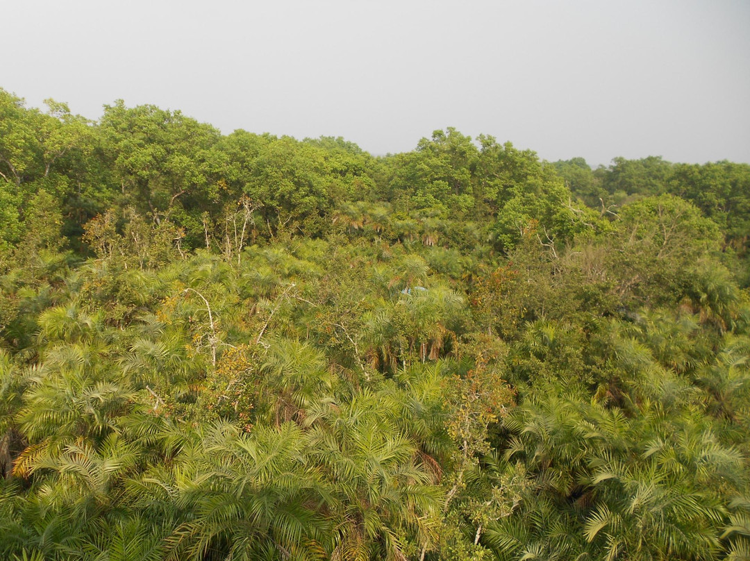 The Sundarbans-库尔纳县必去景点