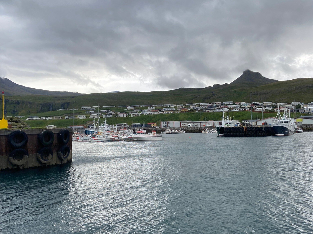 Laki Tours Whale Watching - Olafsvik-Olafsvik必去景点