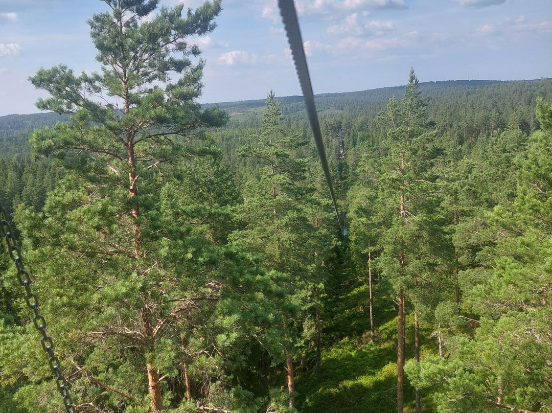 Sweden Zipline-Klavrestrom必去景点