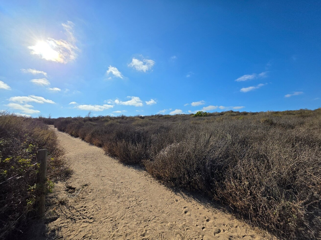 Upper Newport Bay Nature Preserve-纽波特海滩必去景点