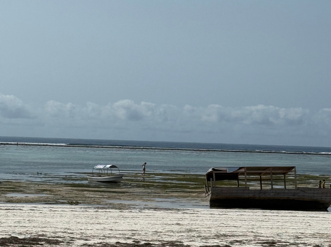 Alladin Beach Hotel and SPA Zanzibar主图