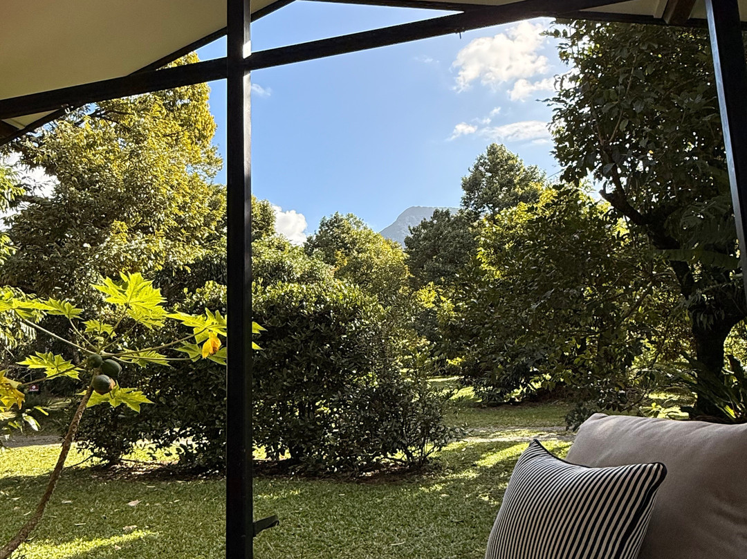 Cape Trib Exotic Fruit Farm-Cape Tribulation必去景点