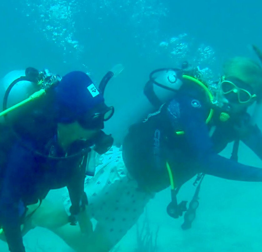 Dive Carriacou-Carriacou Island必去景点