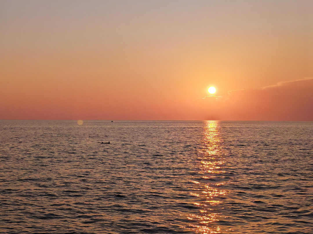 Dolphin Tours Istria-冯塔纳必去景点