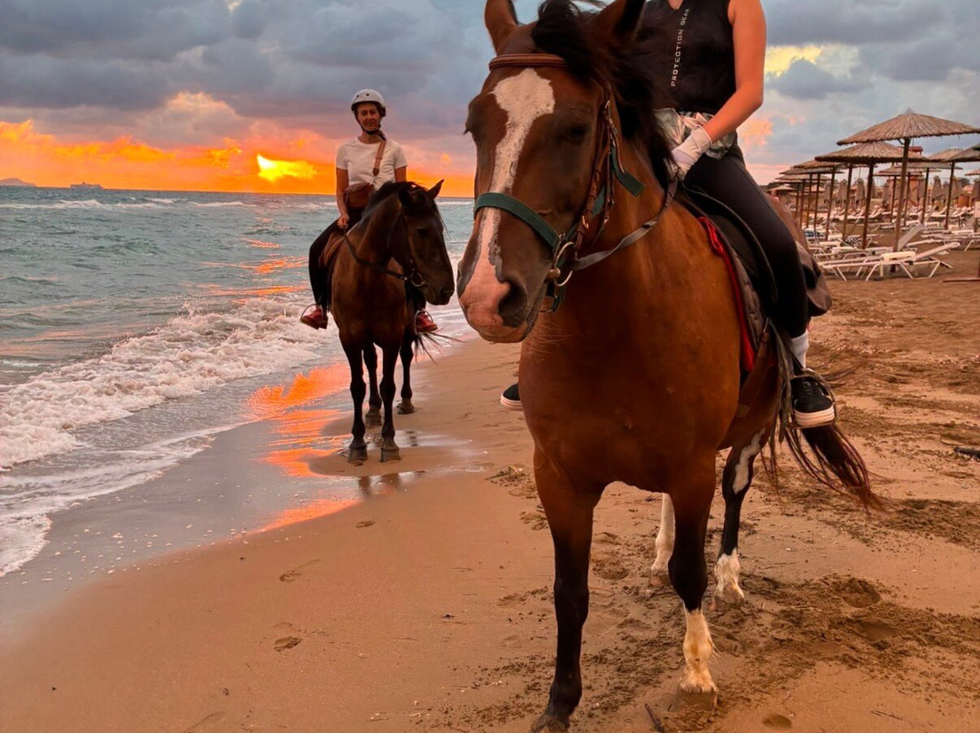 Finikia Horseriding-Finikia必去景点