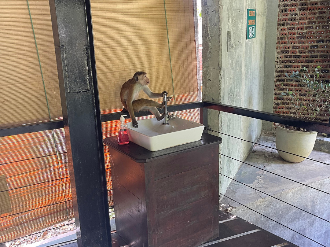 马帕达村酒店主图