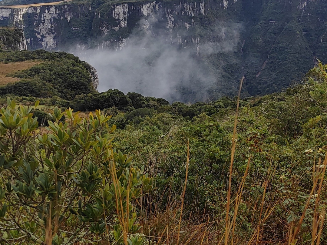 Aparados da Serra Tours-Cambará do Sul必去景点